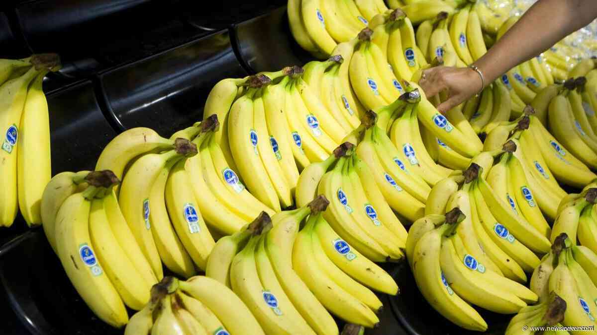 Man aangehouden na cocaïnevondst tussen bananen in Lidl-supermarkten