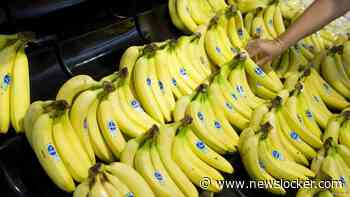 Man aangehouden na cocaïnevondst tussen bananen in Lidl-supermarkten