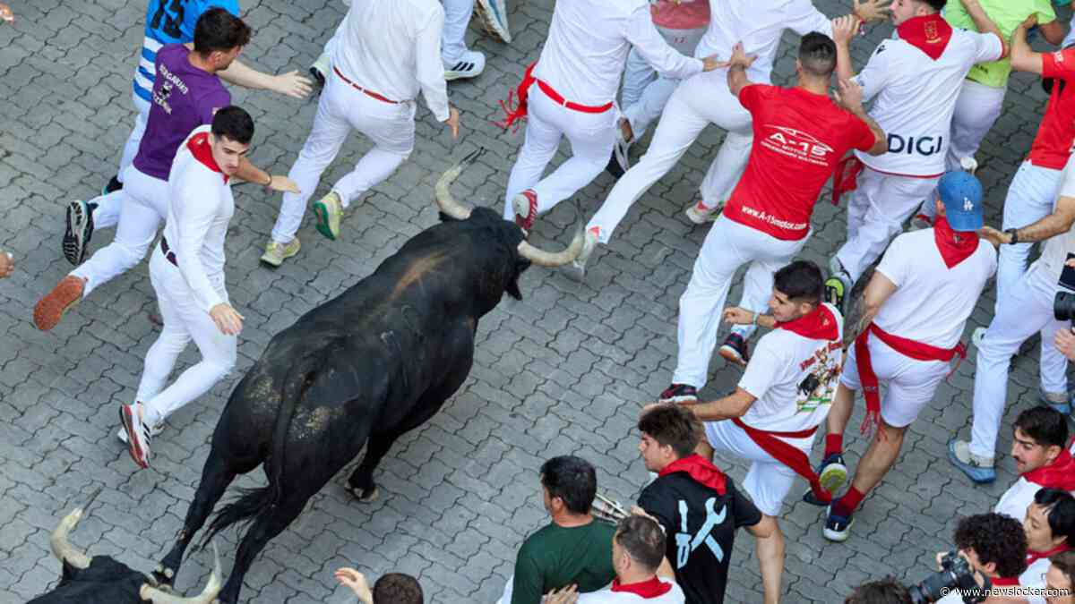 Chaos en gewonden bij beruchte stierenrennen in Pamplona