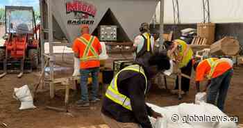 Brandon, Man. continues flood prep as Assiniboine River nears peak