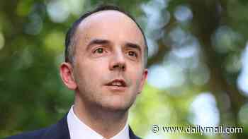 James Murray under pressure from MPs to reinsert key diagnosis target in upcoming dementia plan