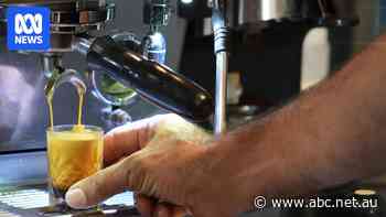 New varieties set Australian coffee industry up for expansion
