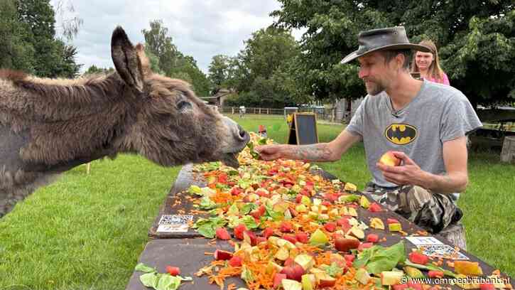 Feest voor Chico: op zijn 40ste verjaardag krijgt de ezel een feestbuffet