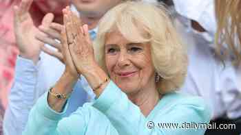 Fery nice to meet you, Your Majesty! Brit hero Arthur reveals what the Queen told him after he stunned Centre Court to reach Wimbledon semi-final