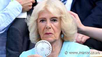 Queen Camilla's exact handheld Wimbledon fan is a £14 Amazon bargain