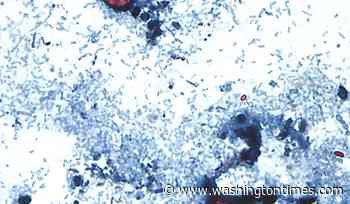 Outbreak of diarrhea-causing parasite grows to more than 1,000 cases