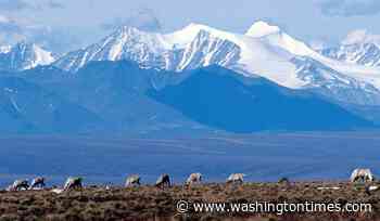 Justice Department settles Alaska lawsuits over Arctic refuge oil leasing program