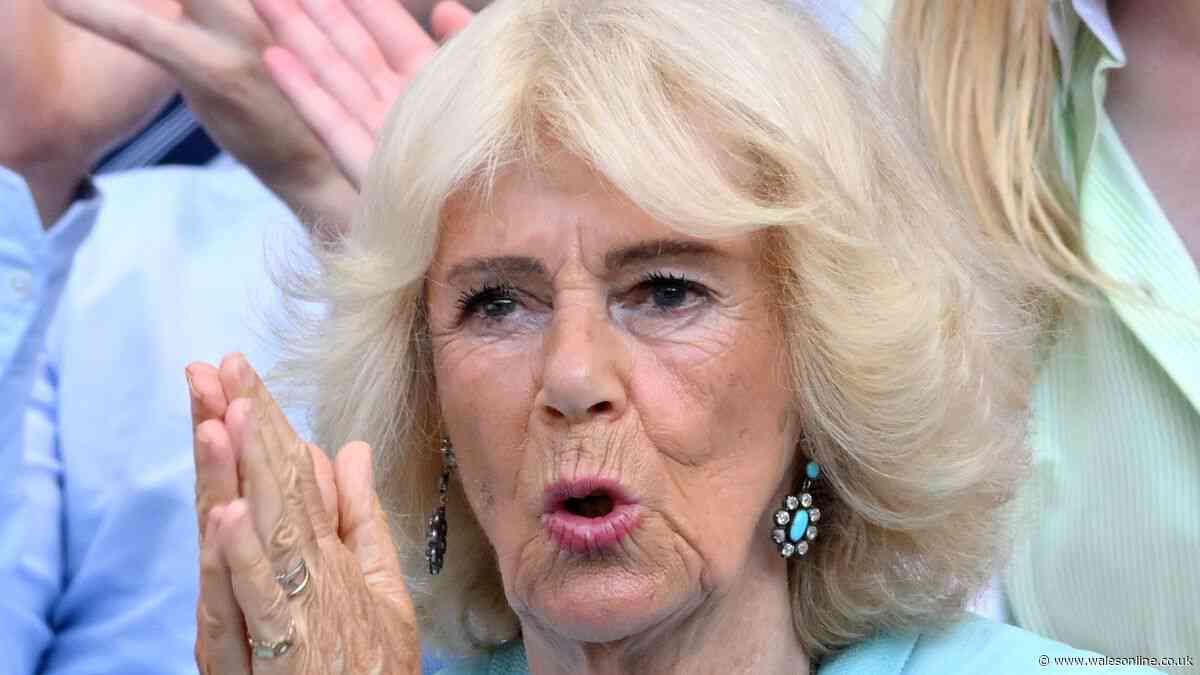 Arthur Fery's message to Queen Camilla in private chat speaks volumes after Wimbledon win
