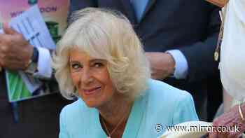 Arthur Fery shares the endearing message he told Queen Camilla after Wimbledon match