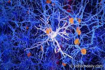 New Molecule Restores the Brain’s Natural Defenses Against Alzheimer’s