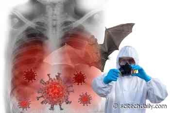 One Tiny Change May Explain How Viruses Jump From Bats to Humans