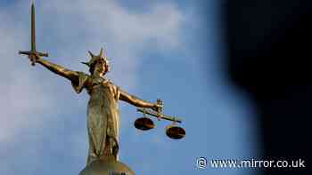 CPS cited 'non-existent' legal cases generated by AI, judge claims