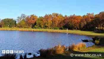 Man injured after daytime 'disturbance' at popular park