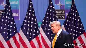 These products could be impacted if Trump ends trade with Spain