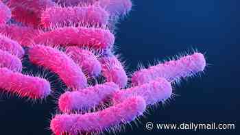 Warning over surge in 'virtually untreatable' sexually transmitted diarrhoea disease that's climbing in the UK