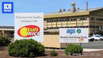 Communities brace for job losses as SunRice winds back