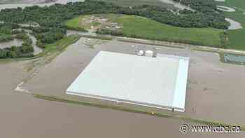 Dauphin greenhouse suffers 'catastrophic situation' after floodwaters sweep through facility