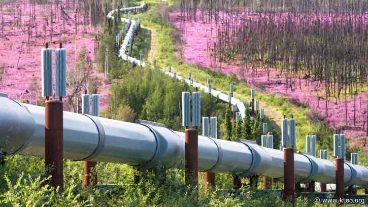 Many gas pipeline construction jobs will go to non-Alaskans, 2020 study indicates