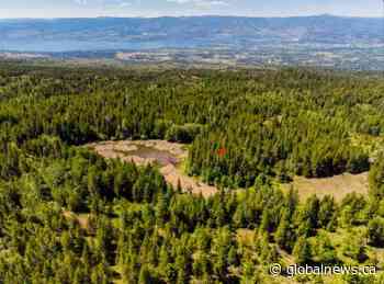BC Parks fundraises to protect one of Myra Bellevue’s last privately-owned parcels