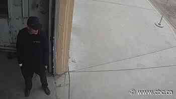 Accused in Edmonton Chinatown killings claims no memory of fatal attacks