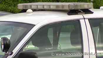 Torrington dog injured after bear attack