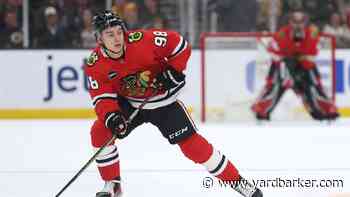 Bedard Sidelined Until November, Implications for the Blackhawks