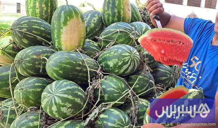 الوفرة في الإنتاج تنعش أسواق الجملة وتخفض 