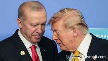 PETER HITCHENS: If a tyrant so brutal he could pass for Putin's twin brother can host a Nato summit, just what does this flawed alliance stand for?