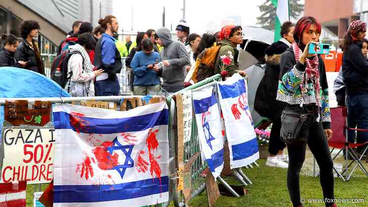 Jewish House Democrat recalls colleague saying there is no antisemitism because 'all the Jews are rich'