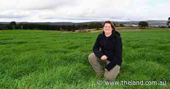 'Pretty chuffed': the six year battle to reclaim pastures from lovegrass