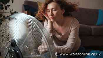 Three heatwave cooling ‘hacks’ that may do more harm than good