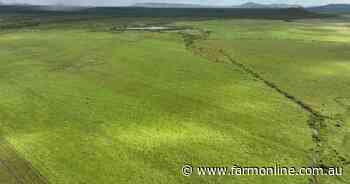 Major cattle property remains on market after being put to auction | Video