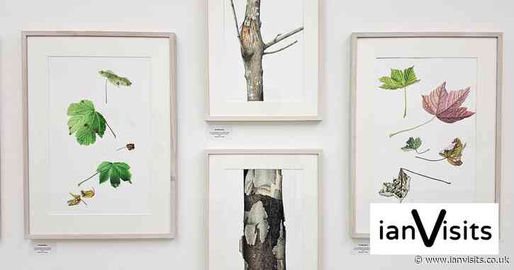 The beauty of botany: RHS exhibition showcases plants as works of art