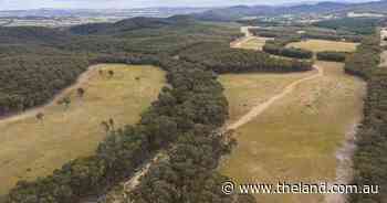 Little Billabong's Montana offers plenty of potential in a sought after area