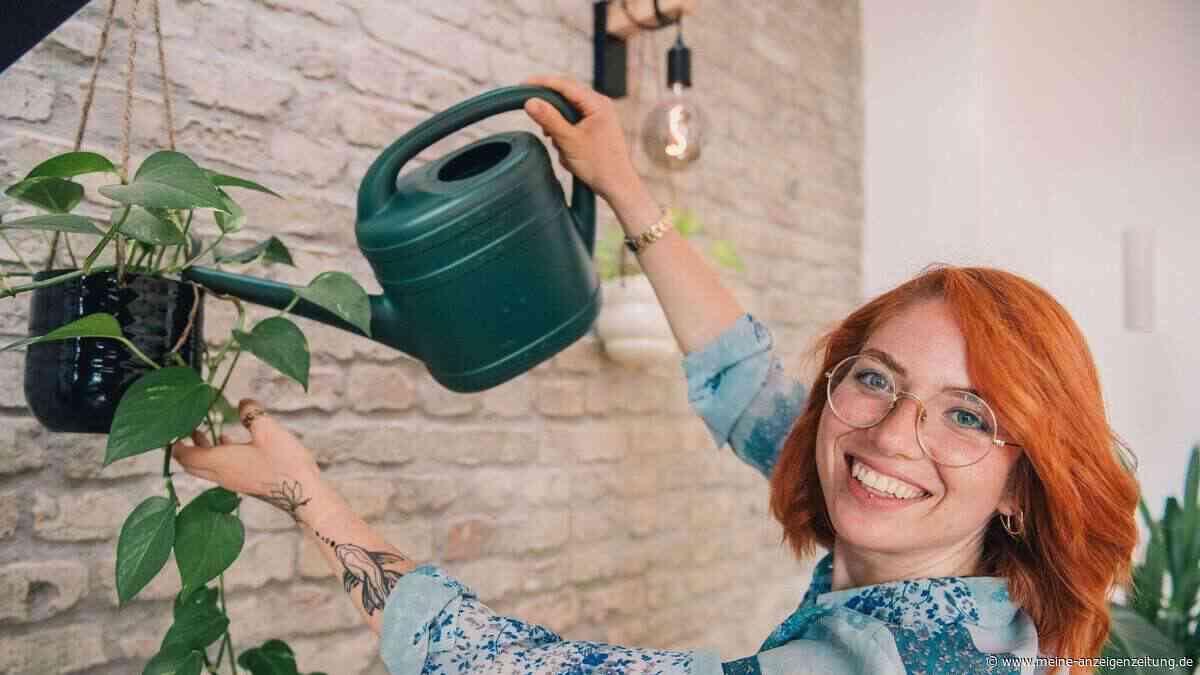 Mehr als nur Deko: So holen Sie sich Ferien in die Bude