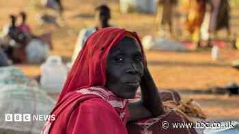 International court tells BBC of breakthrough in Sudan war crimes probe