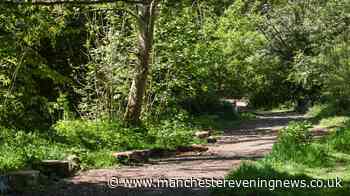 The beautiful south Manchester walk with gardens, woods and ice cream