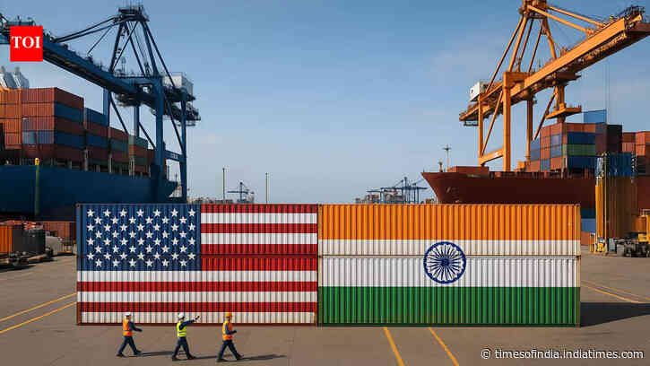 India flags inconsistencies in US approach to Section 301 forced labour law, points to selective exemptions