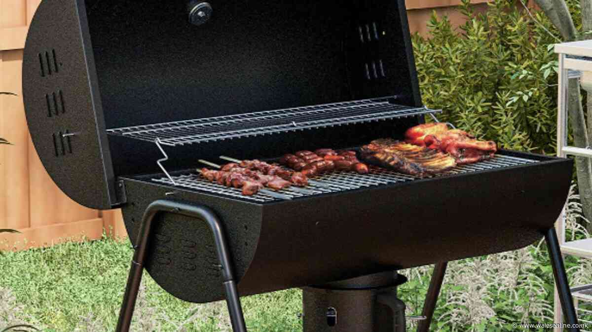 Family-sized barbecue perfect for World Cup garden parties sees summer price cut