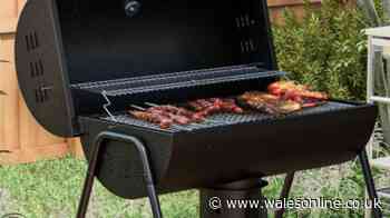 Family-sized barbecue perfect for World Cup garden parties sees summer price cut