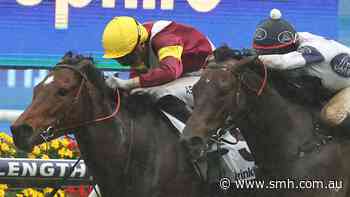 Smith stable eyes prime conditions for heavy-track specialist Prima Bella