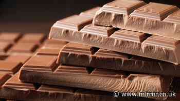 Anyone exercising told to smell chocolate before they start