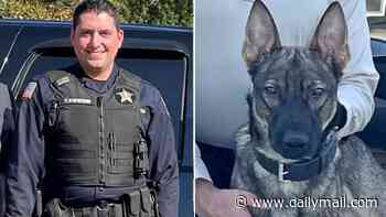 New Jersey cop in charge of K-9 unit left two dogs to die in hot police car, prosecutors say