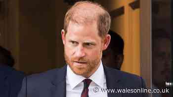 Prince Harry's 'irreversible' damage and has made 'things more difficult'