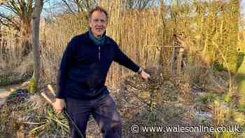 Monty Don urges gardeners to complete 'July ritual' and 'key' summer task