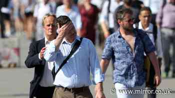 DWP heatwave update: 'too hot to work' workplace temperature limit new rules update