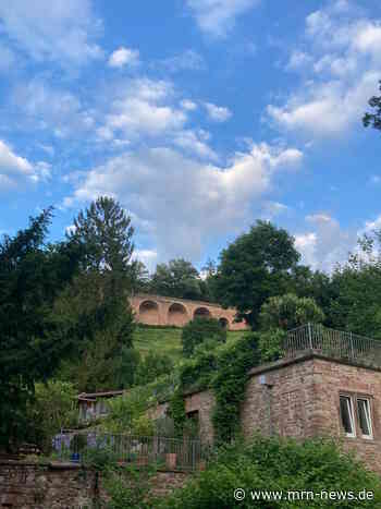Heidelberg –  Führung: „Stille Höfe und verborgene Gärten – Teil 2“