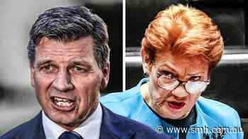 ‘Eternity of pain’: Angus Taylor’s clearest attack on Pauline Hanson
