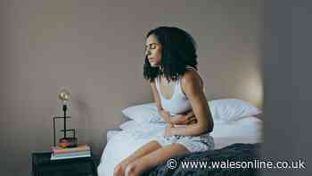 Doctor says 'limiting intake' can cut heatwave IBS and bloating
