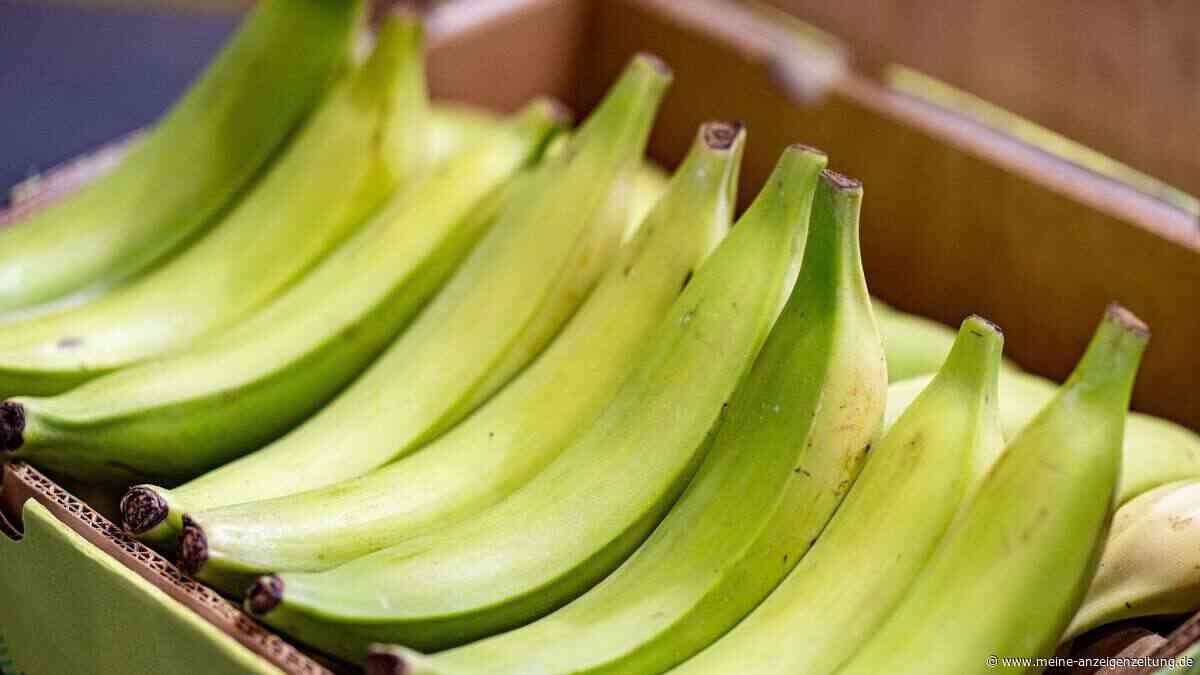 Knusprig und herzhaft: Was Kochbananen besonders macht